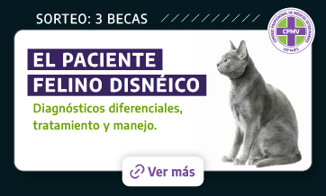 El Paciente Felino Disnéico - SORTEO 3 Becas
